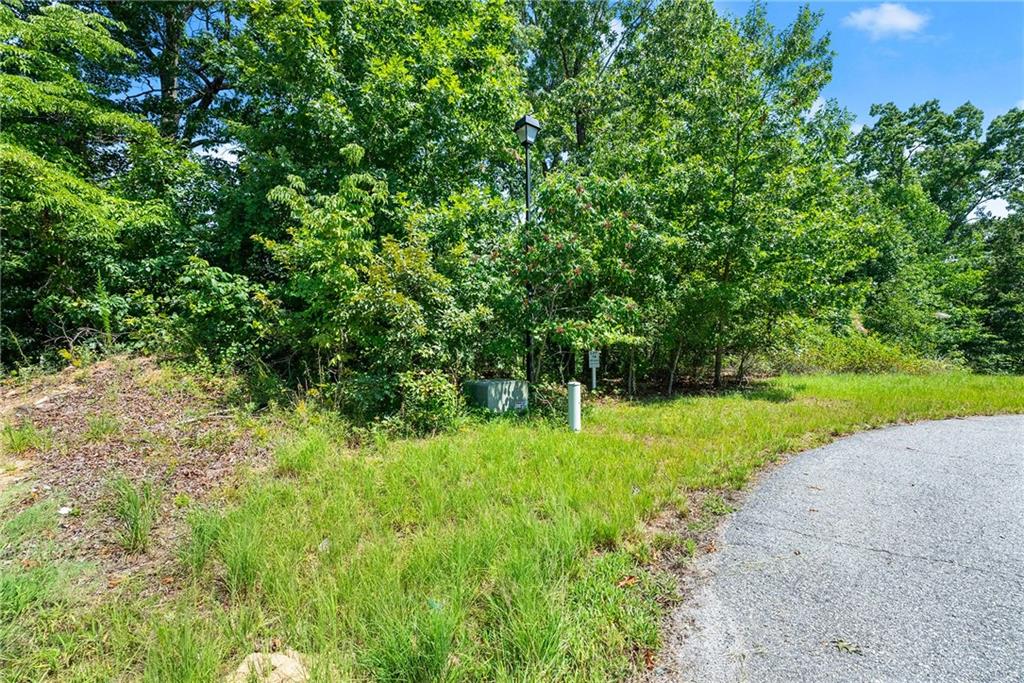 0 Flat Rock Point Property Photo 5