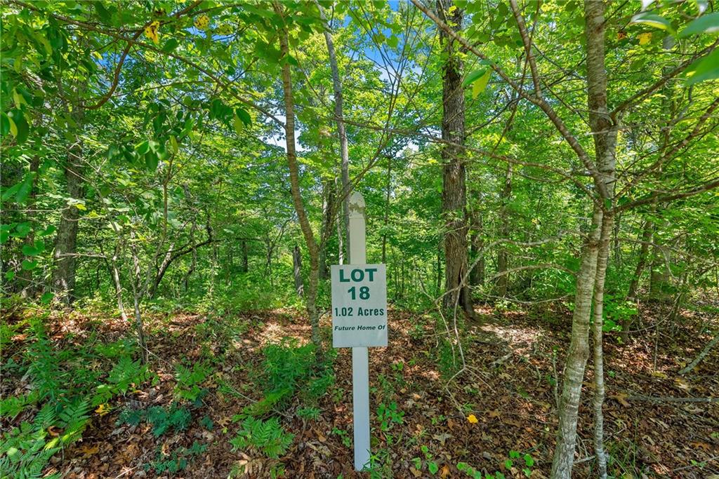0 Flat Rock Point Property Photo 7