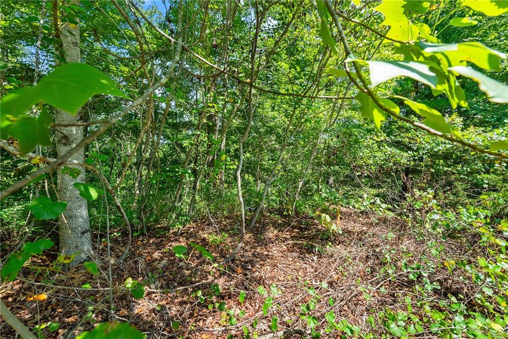 0 Flat Rock Point Property Photo 8