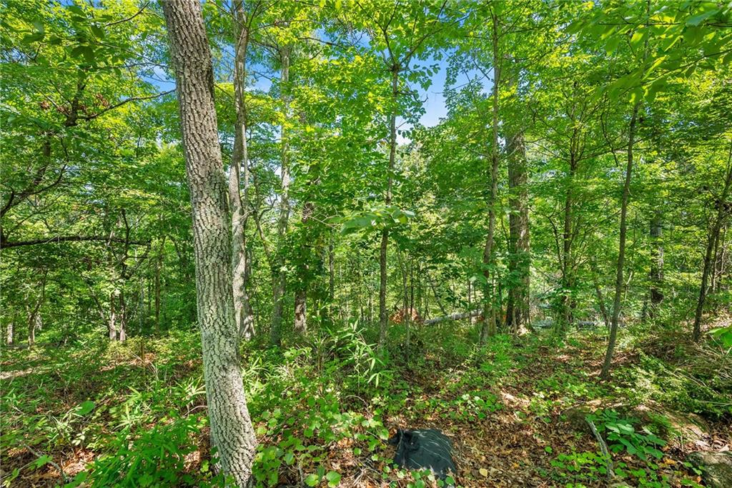 0 Flat Rock Point Property Photo 9