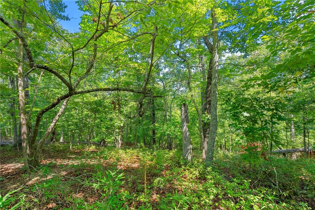 0 Flat Rock Point Property Photo 10