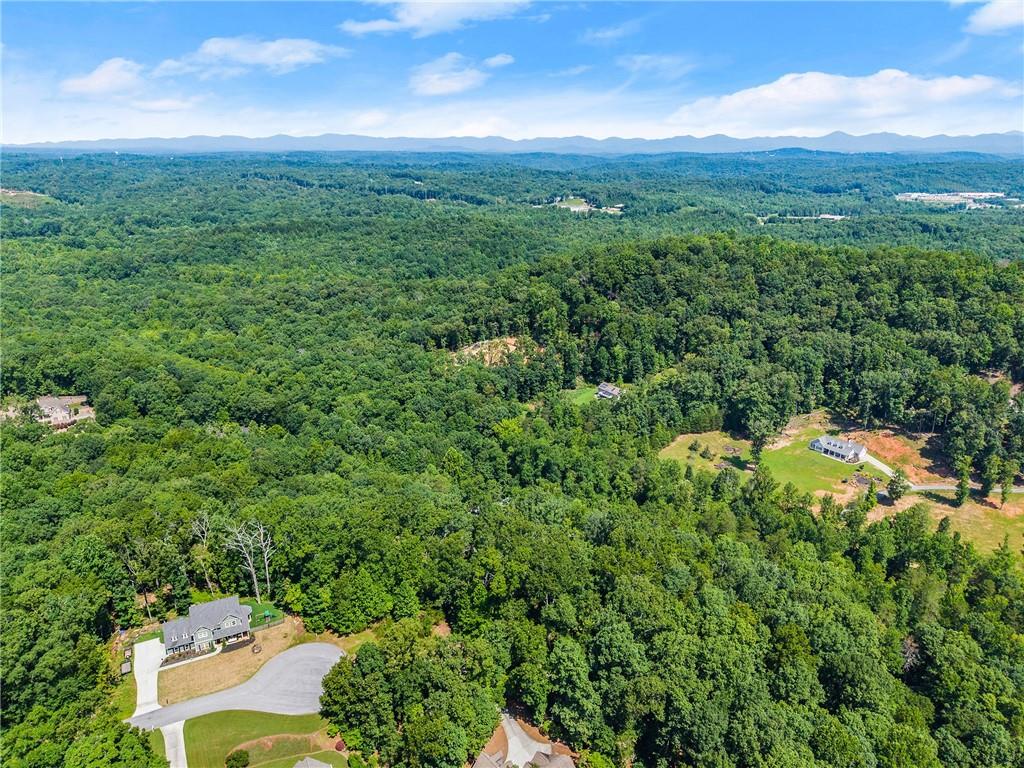 0 Flat Rock Point Property Photo 12