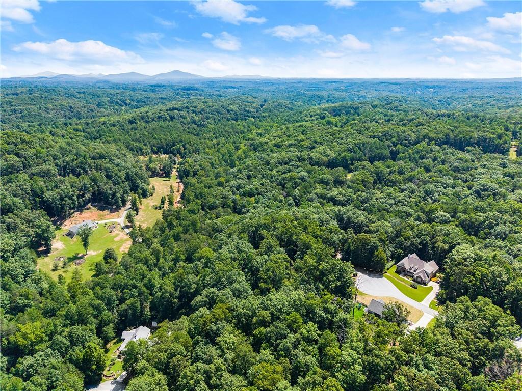0 Flat Rock Point Property Photo 13