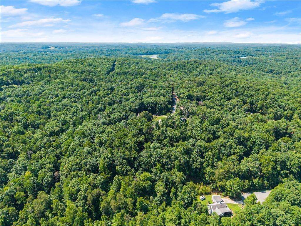 0 Flat Rock Point Property Photo 15