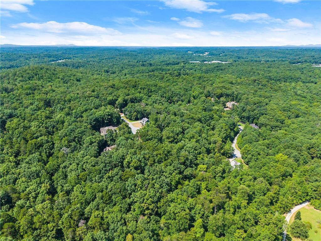 0 Flat Rock Point Property Photo 16