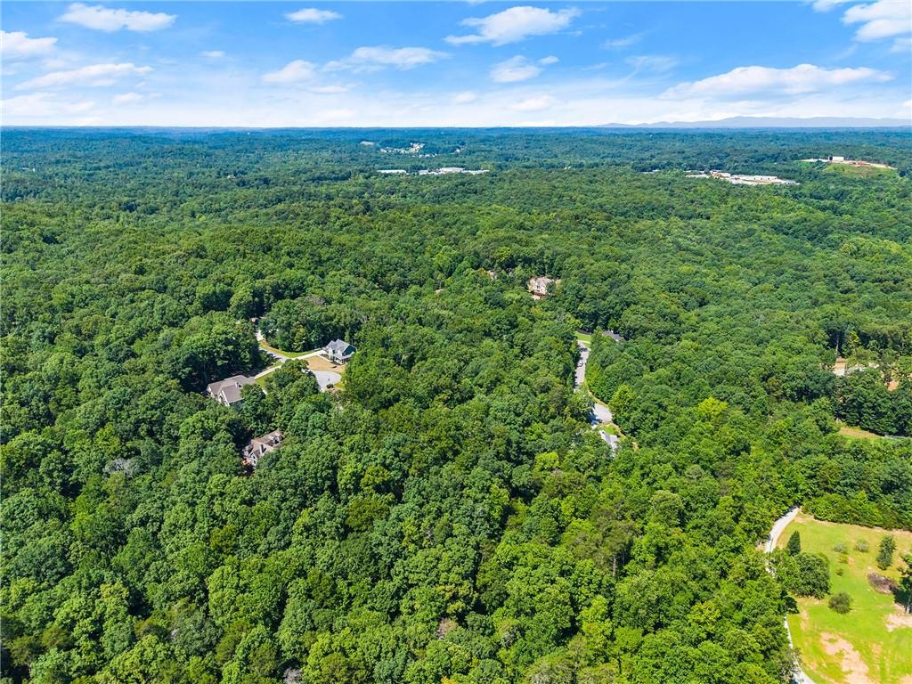 0 Flat Rock Point Property Photo 17