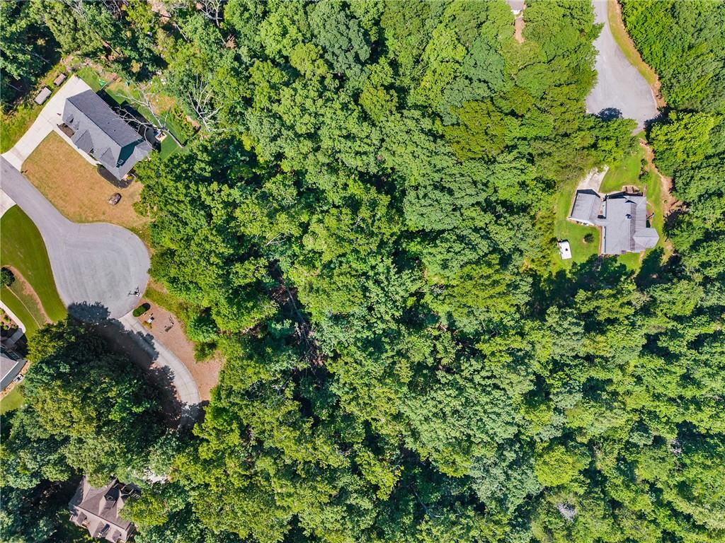 0 Flat Rock Point Property Photo 18