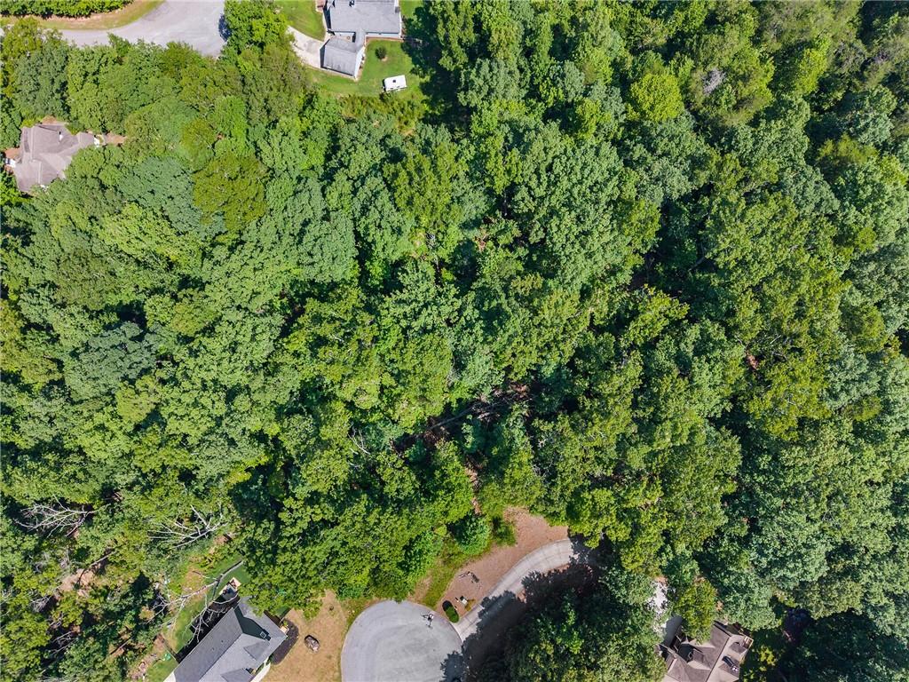 0 Flat Rock Point Property Photo 19