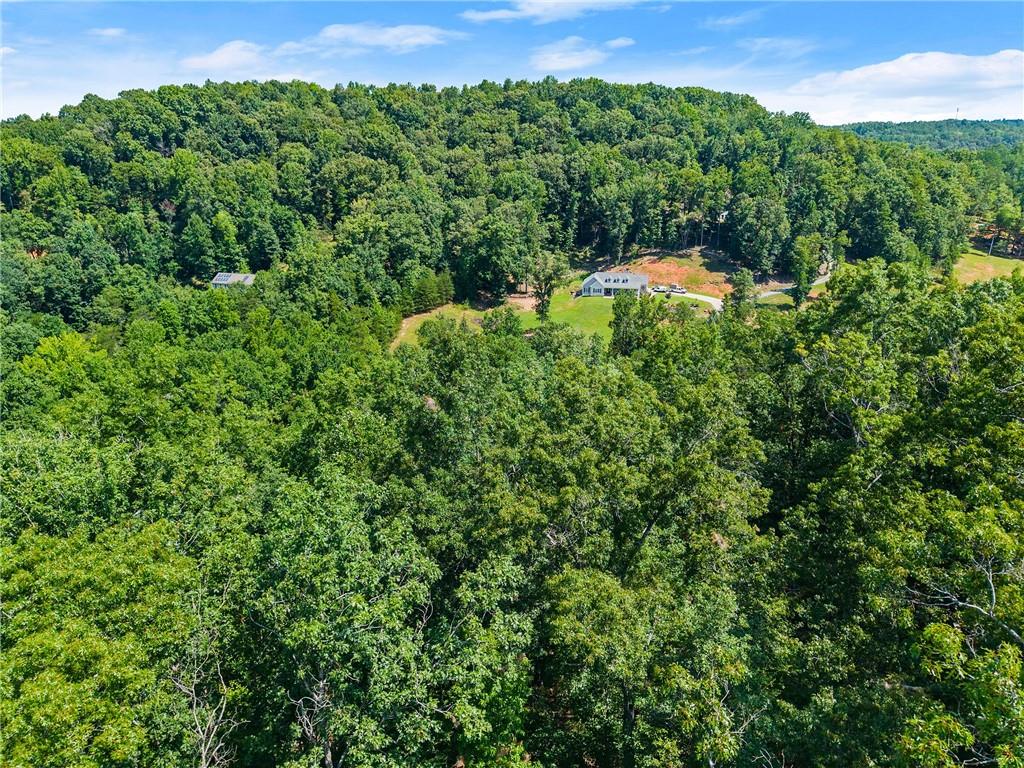 0 Flat Rock Point Property Photo 21