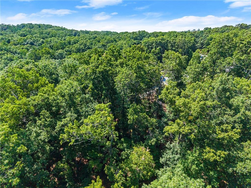 0 Flat Rock Point Property Photo 23