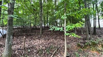 63 Lakeshore Drive Property Photo 4