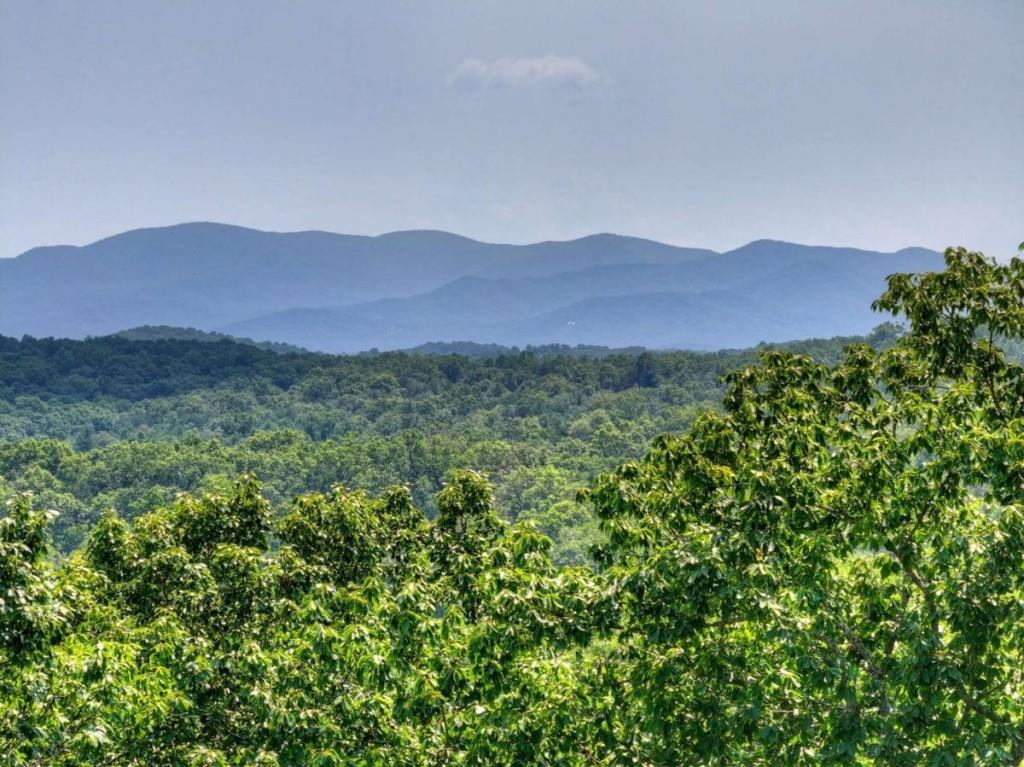 100 Boundless Trail Property Photo 73