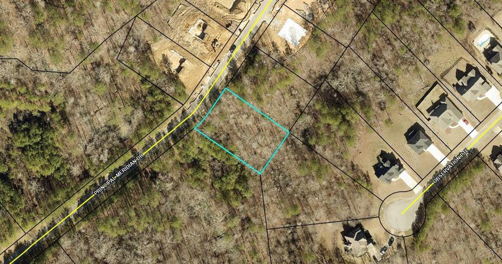 454 Principal Meridian Drive Property Photo 1