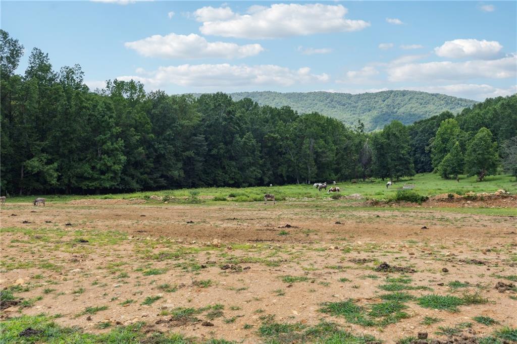 207 Canyon Pass Property Photo 25