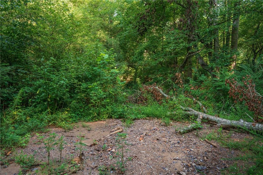 00 Bill Smith Drive Property Photo 10