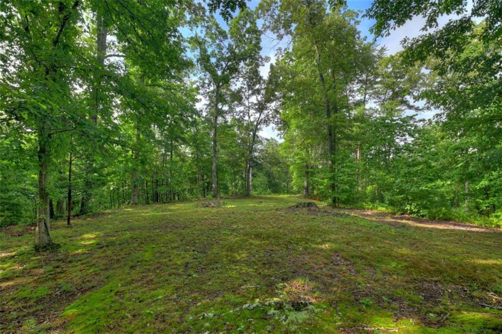 387 Ruby Lane Property Photo 14