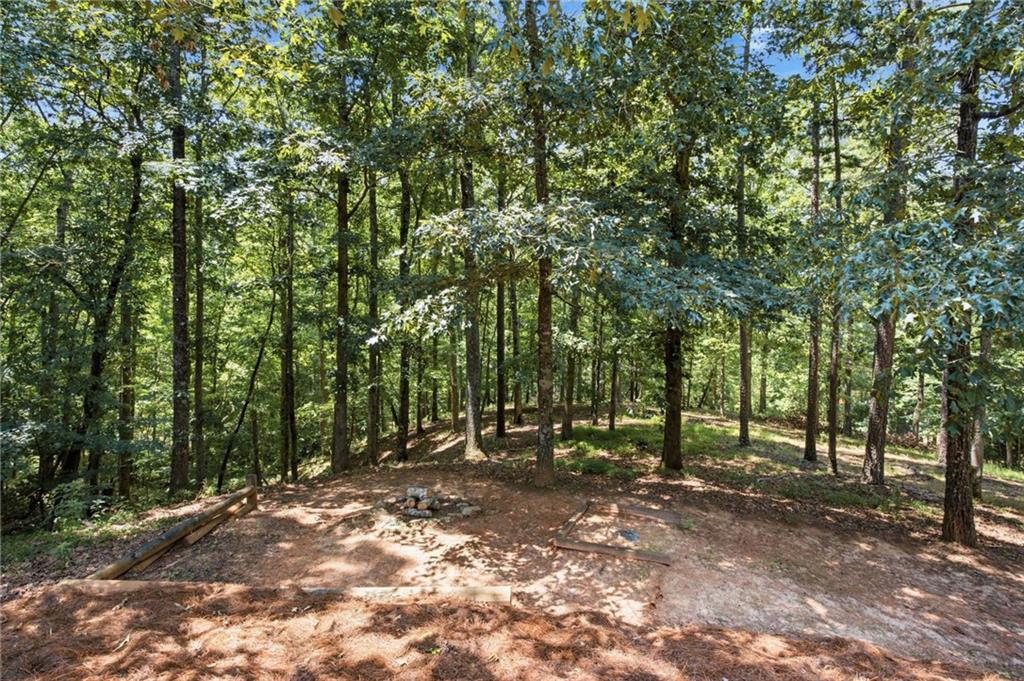 302 Bumpy Trail Property Photo 61