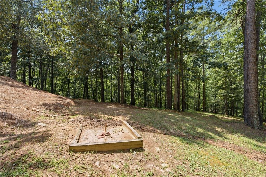 302 Bumpy Trail Property Photo 62