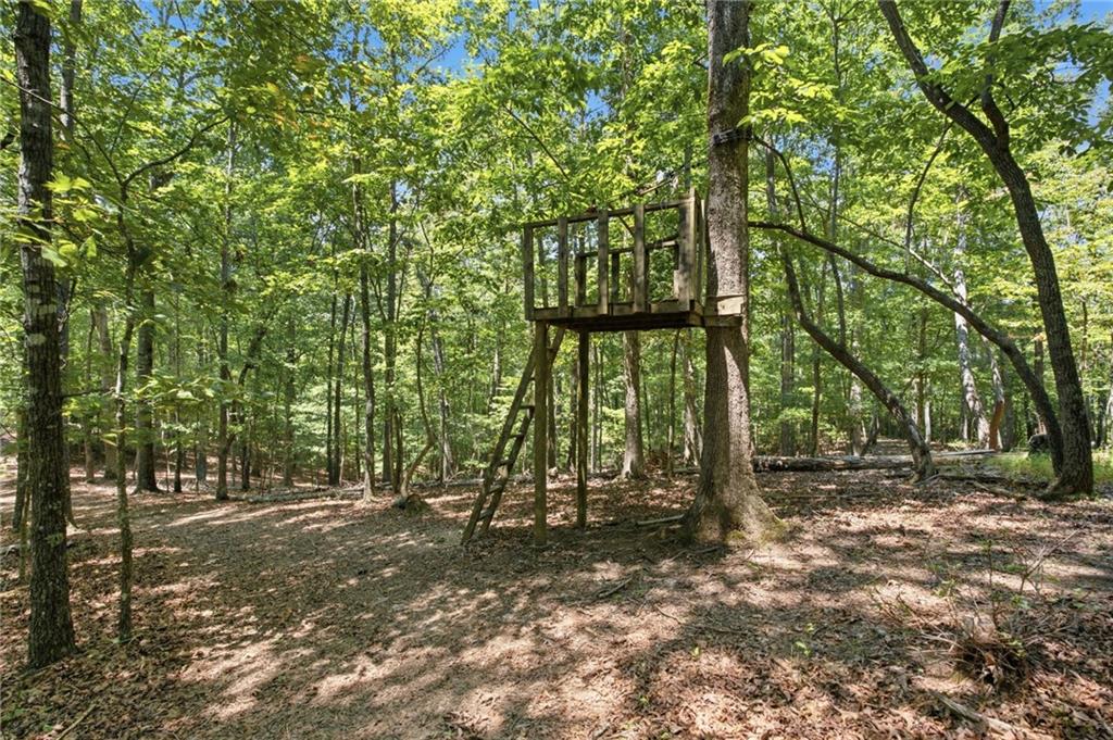 302 Bumpy Trail Property Photo 66