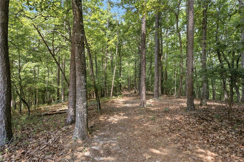 302 Bumpy Trail Property Photo 67