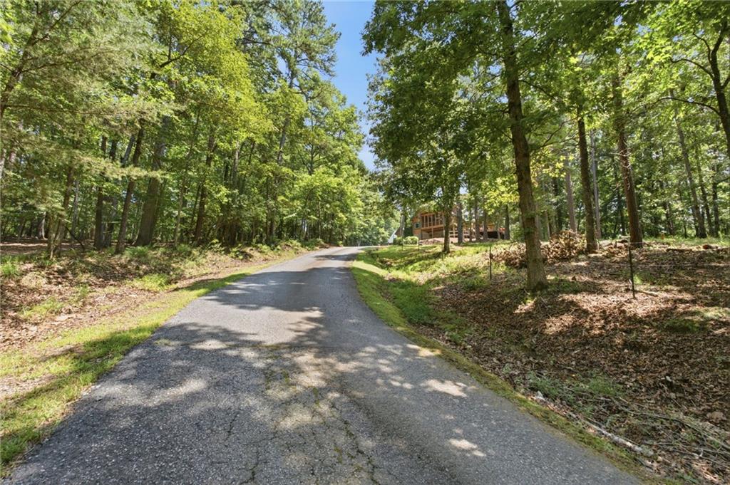 302 Bumpy Trail Property Photo 68