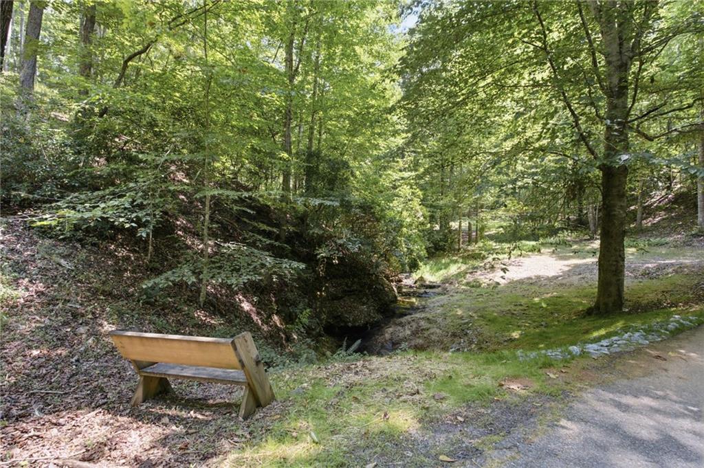302 Bumpy Trail Property Photo 69