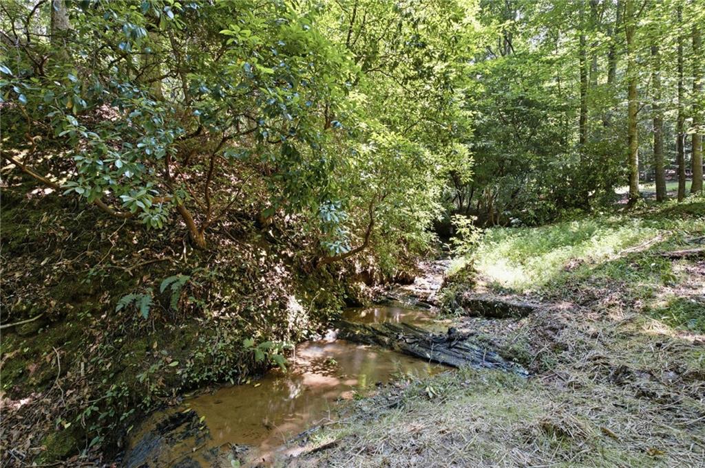 302 Bumpy Trail Property Photo 70