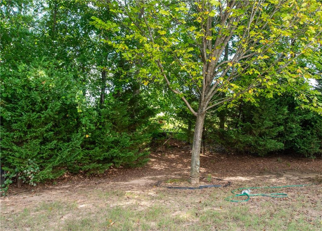7728 Old Thyme Road Property Photo 27
