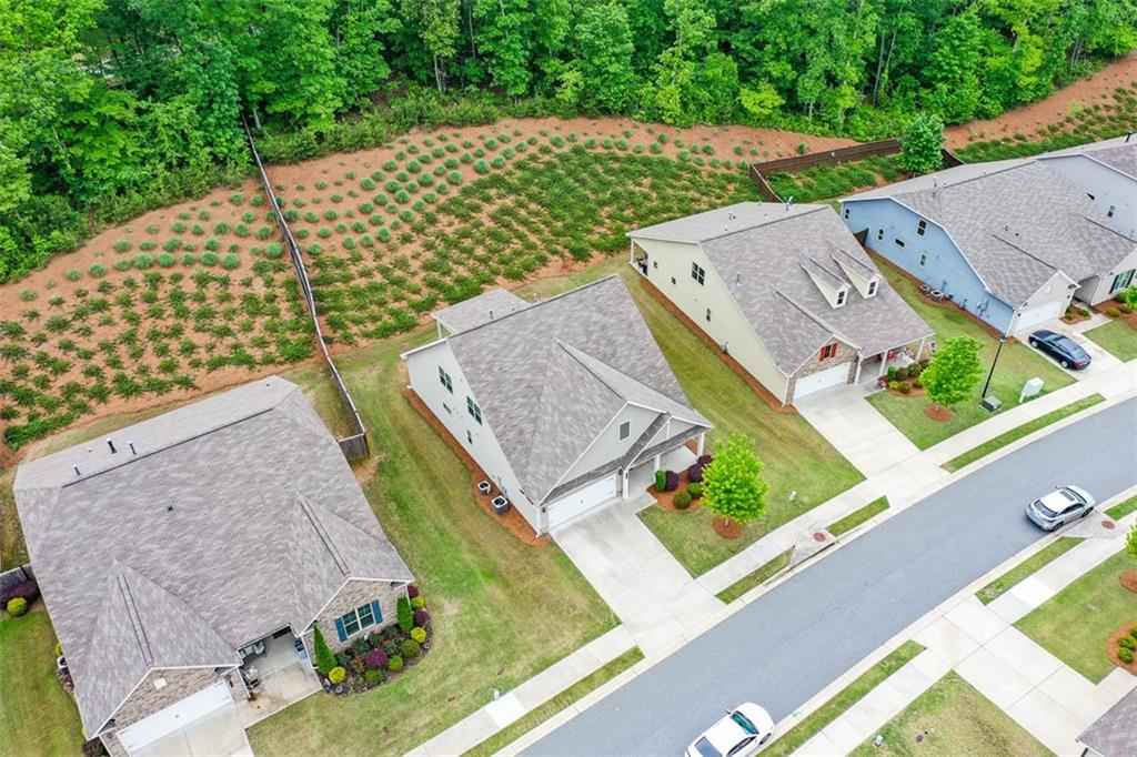 151 Rolling Hills Place Property Photo 53