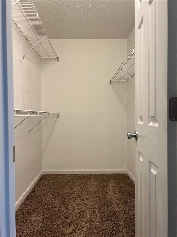 4197 Sterling Pointe Drive Property Photo 19