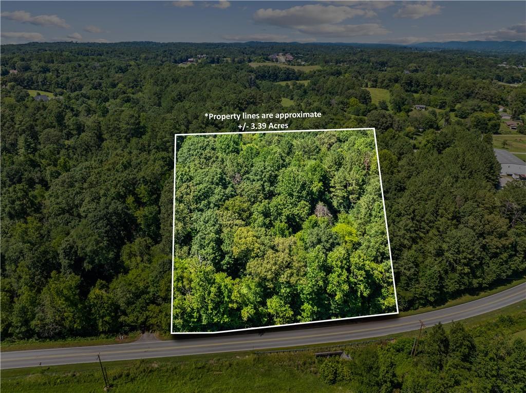 0 Mount Pisgah Road Property Photo 1
