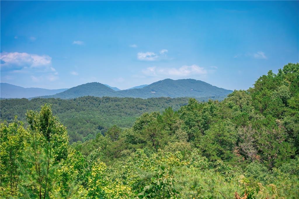 88 Down Yonder Road Property Photo 82