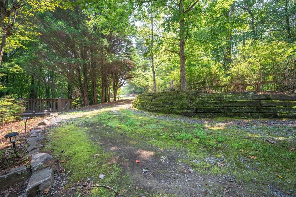 88 Down Yonder Road Property Photo 85