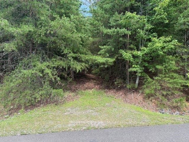 0 Owl Ridge Way Property Photo 4