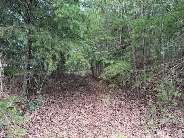 0 Owl Ridge Way Property Photo 5
