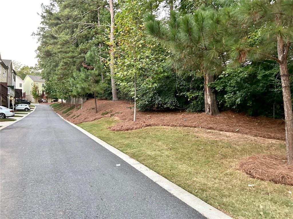491 Suwanee Pass Trail Property Photo 12