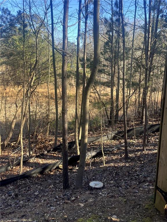 6178 Stewart Ridge Walk Property Photo 15