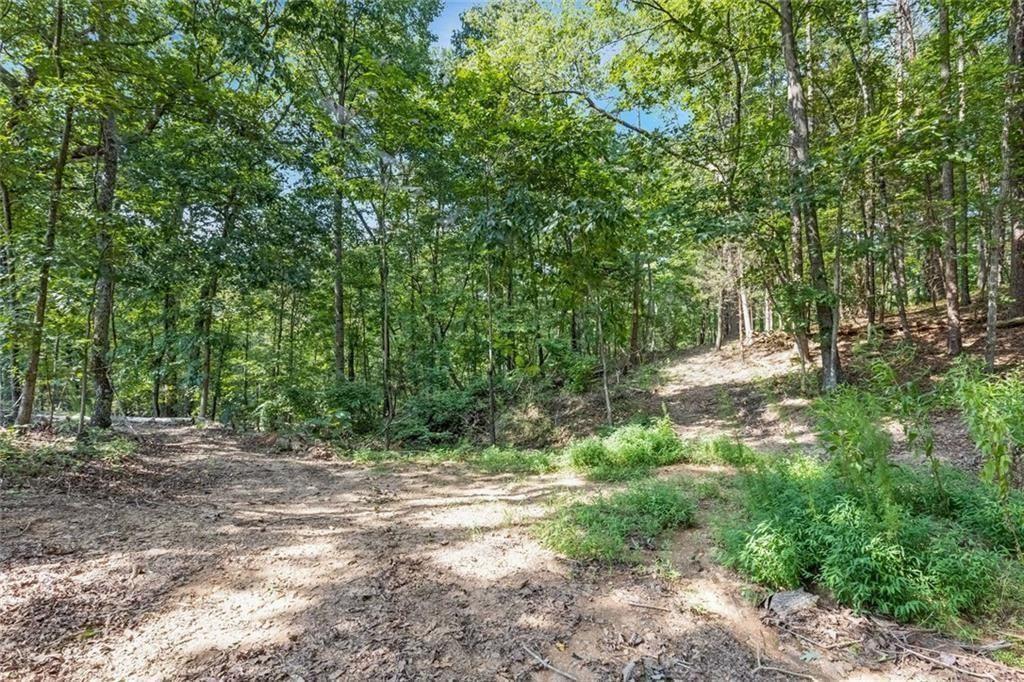 5466 Whitehall Road Property Photo 41