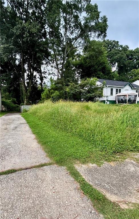 1131 Merrill Avenue Sw Property Photo 3