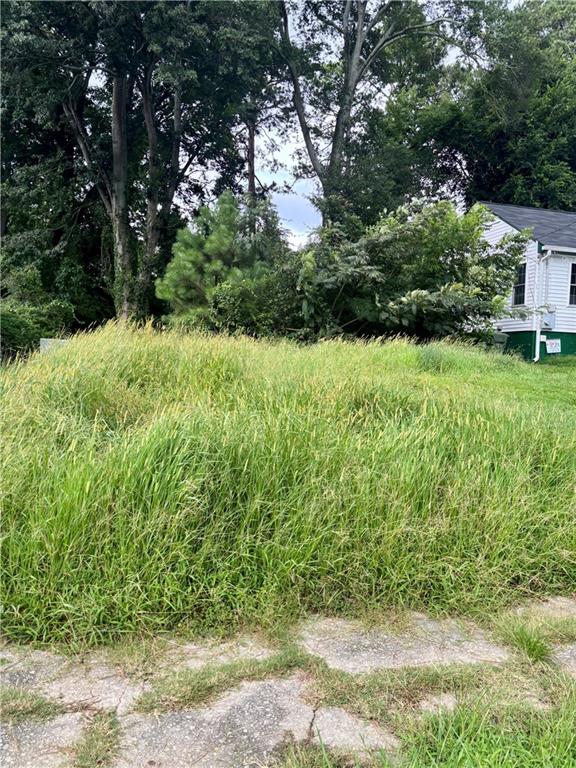 1131 Merrill Avenue Sw Property Photo 4