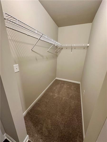 252 Whitetail Circle Property Photo 8