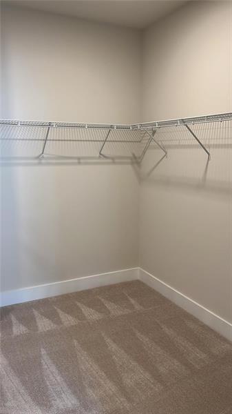 1255 Winterhaven Drive Property Photo 15