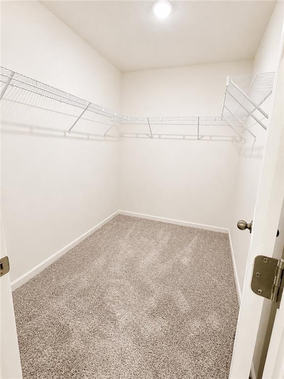 64 Padley Drive Property Photo 14