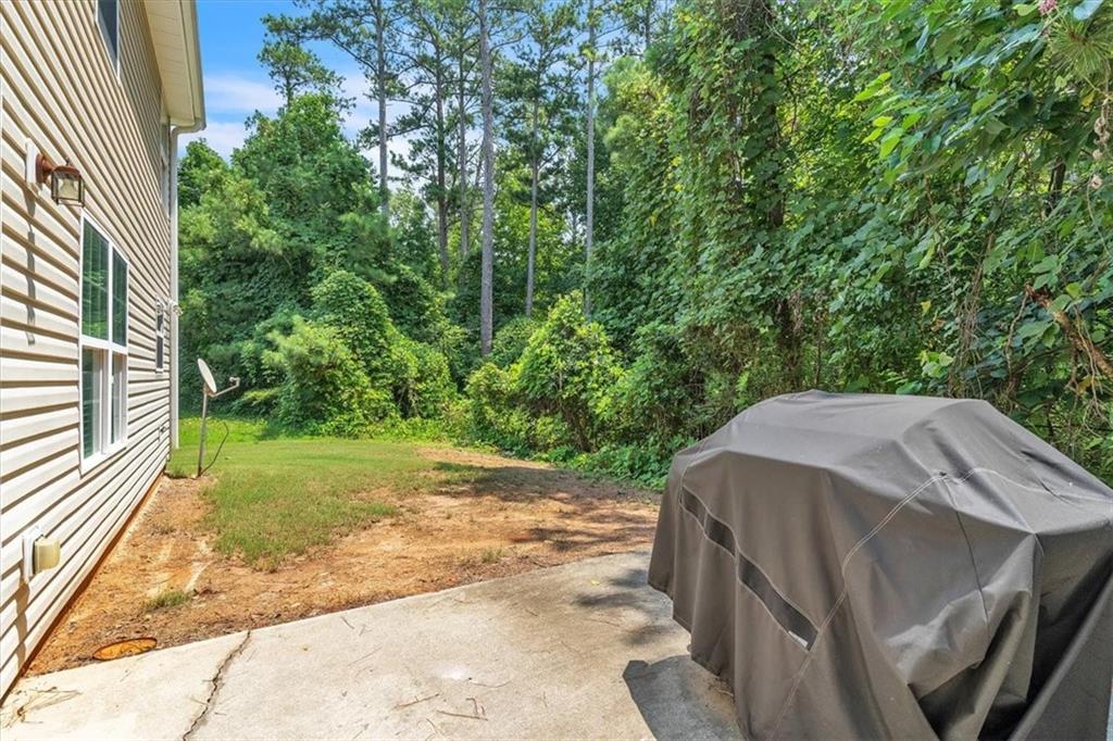 4439 Flat Stone Drive Property Photo 23