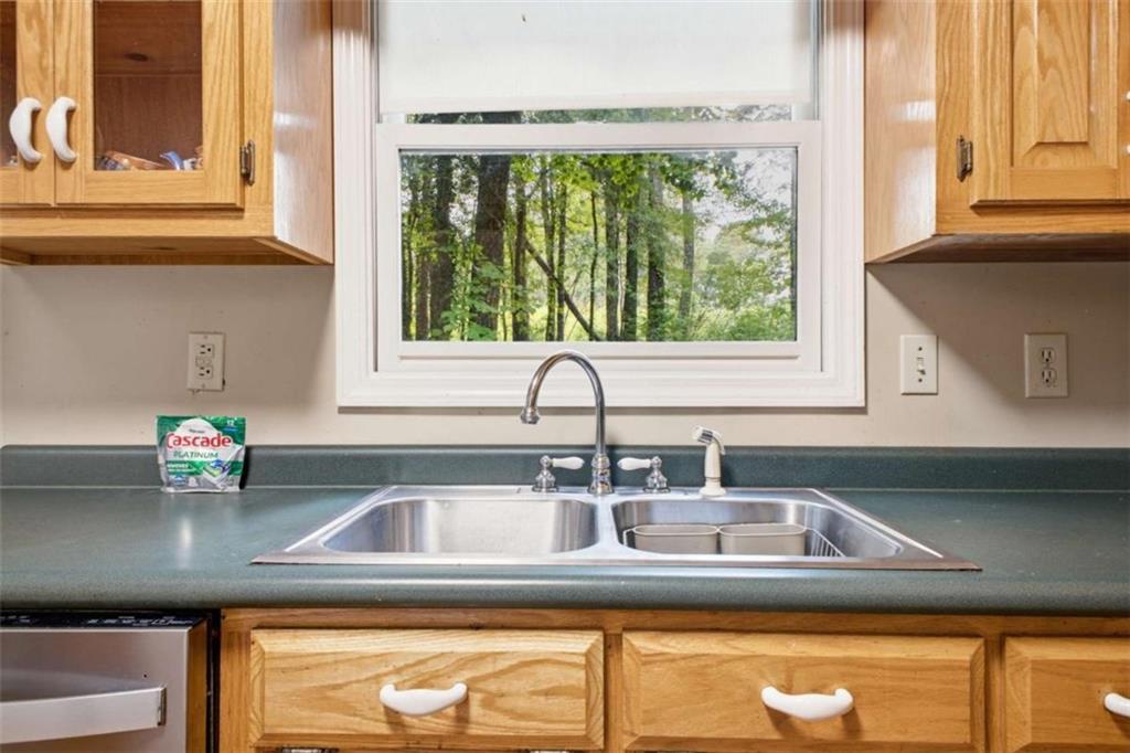 242 Pine Pitch Road Property Photo 10