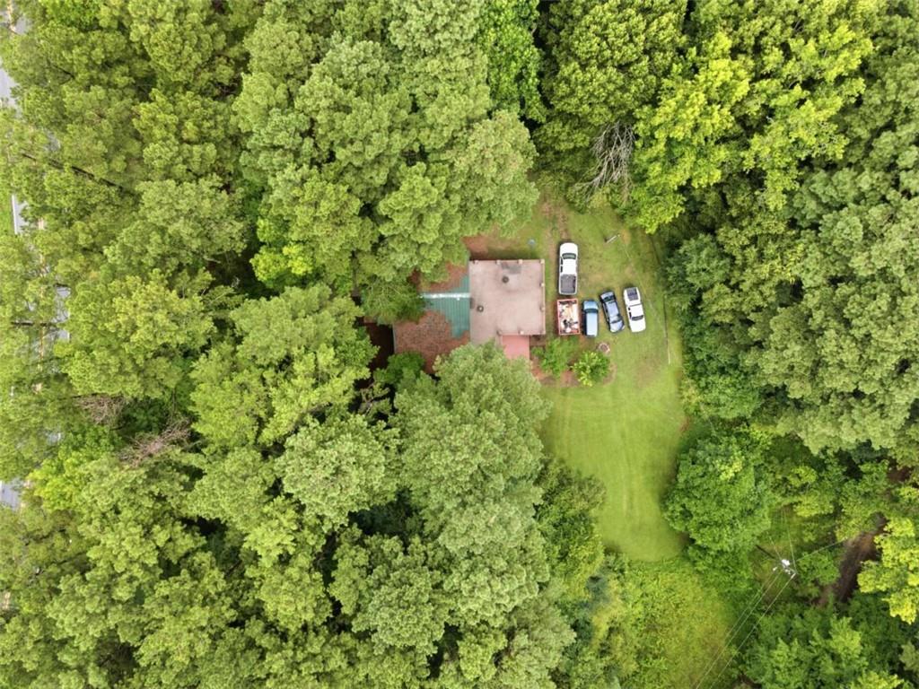 242 Pine Pitch Road Property Photo 38