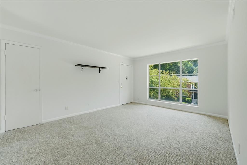 510 Coventry Road Unit 3c Property Photo 6