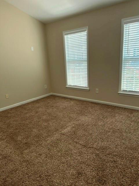 1317 Thornborough Drive Property Photo 14