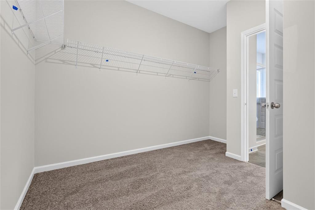117 Summerfield Place Drive Property Photo 42