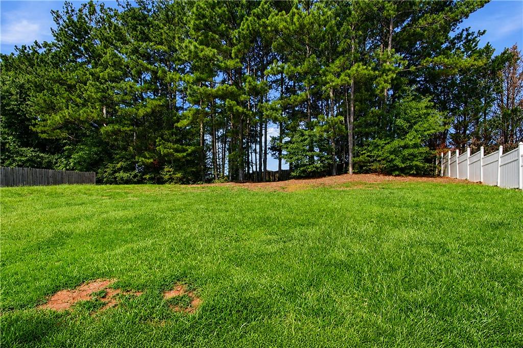 225 Avonlea Drive Property Photo 39